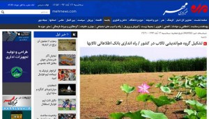 گروه تالابی